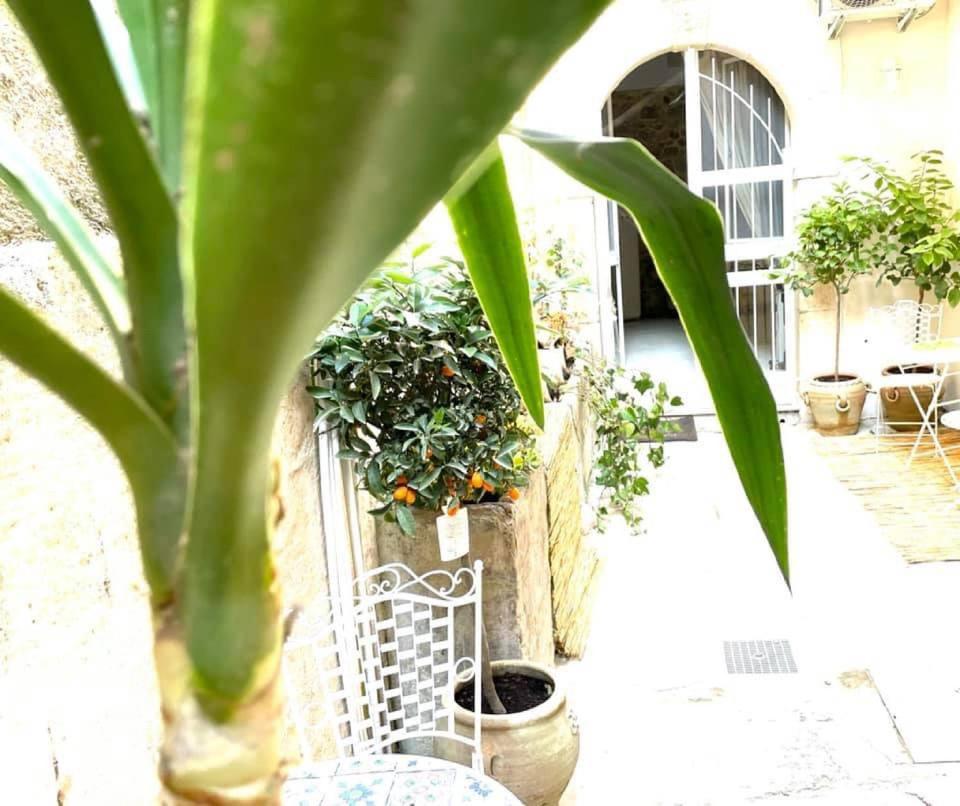 Lemon Suite Ortigia Syrakusa Exteriör bild