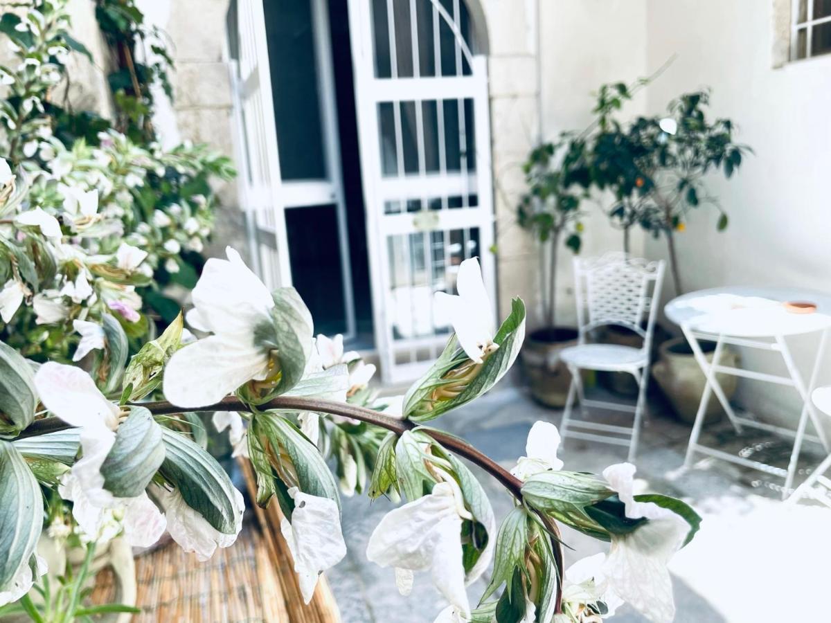Lemon Suite Ortigia Syrakusa Exteriör bild